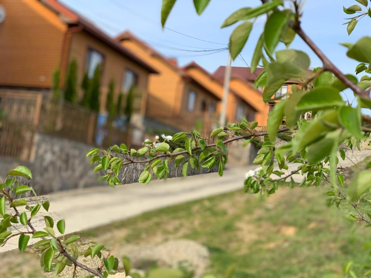 Mini Hotel Solnce Karpat Поляна Екстериор снимка